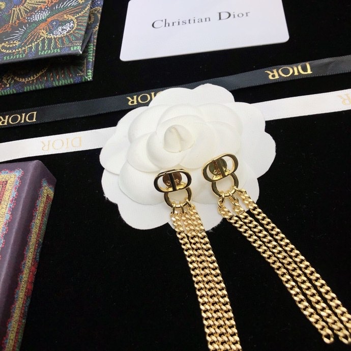 Christian Dior Earrings